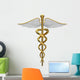 Golden Caduceus Medical Symbol Wall Decal