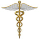 Golden Caduceus Medical Symbol Wall Decal