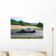 Pagani Zonda Wall Decal