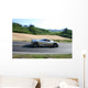 Pagani Zonda Wall Decal