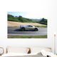 Pagani Zonda Wall Decal