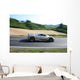 Pagani Zonda Wall Decal