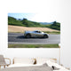 Pagani Zonda Wall Decal