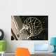 Home Practice Basketball Hoop Wall Decal