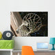 Home Practice Basketball Hoop Wall Decal