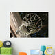 Home Practice Basketball Hoop Wall Decal