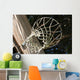 Home Practice Basketball Hoop Wall Decal