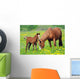 Horse and Colt in a Field Wall Decal