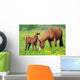 Horse and Colt in a Field Wall Decal