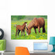 Horse and Colt in a Field Wall Decal