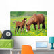 Horse and Colt in a Field Wall Decal