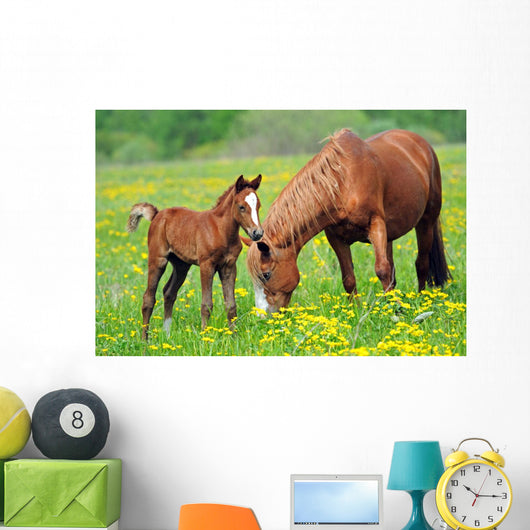 Horse and Colt in a Field Wall Decal