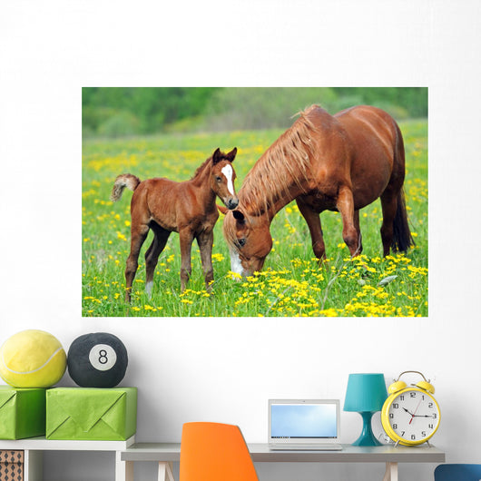 Horse and Colt in a Field Wall Decal