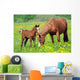 Horse and Colt in a Field Wall Decal