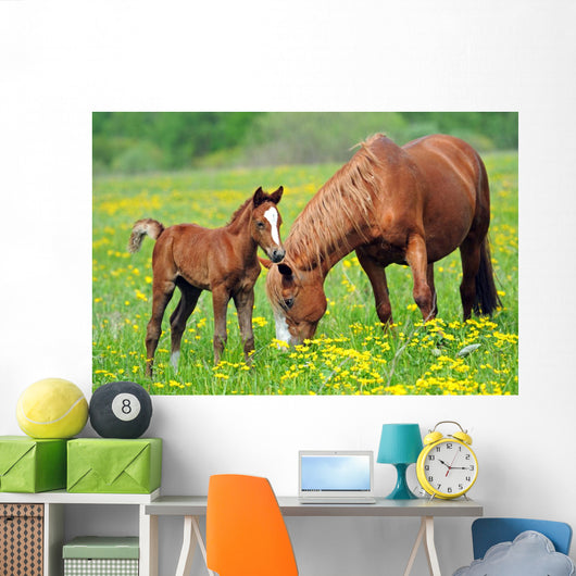 Horse and Colt in a Field Wall Decal