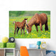 Horse and Colt in a Field Wall Decal