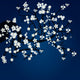 Tree Blossom Wall Decal Design 2