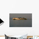Les Iles Borromees Wall Decal Design 1
