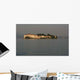 Les Iles Borromees Wall Decal Design 1