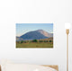Cerro Negro 0002 Wall Decal