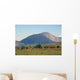 Cerro Negro 0002 Wall Decal