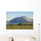 Cerro Negro 0002 Wall Decal