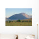 Cerro Negro 0002 Wall Decal