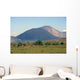 Cerro Negro 0002 Wall Decal