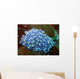 Sea Squirt Rhopalea Sp Wall Decal