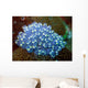 Sea Squirt Rhopalea Sp Wall Decal