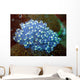 Sea Squirt Rhopalea Sp Wall Decal