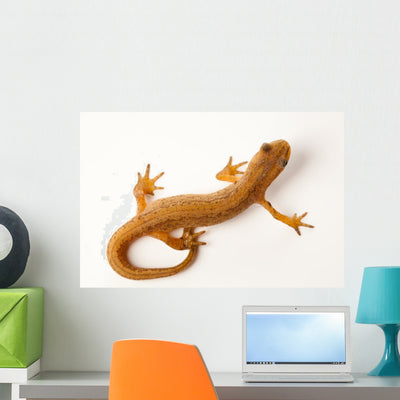 Newt White Wall Decal shown on a wall