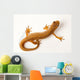 Newt White Wall Decal