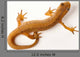 Newt White Wall Decal