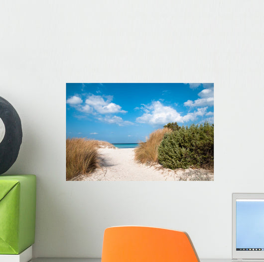 Costa Smeralda Sand Dunes Wall Decal