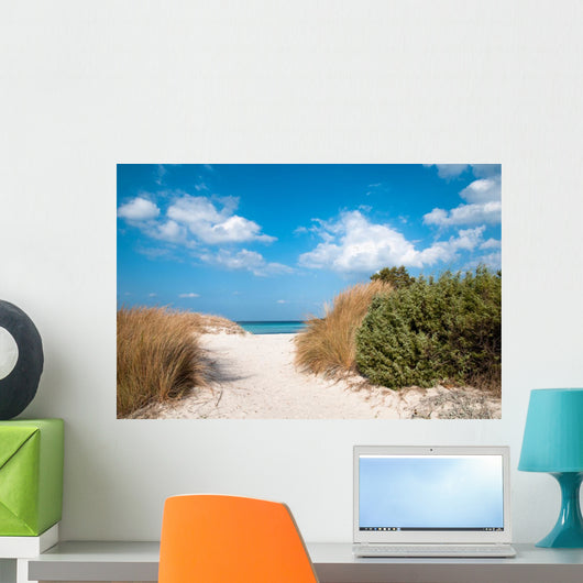 Costa Smeralda Sand Dunes Wall Decal