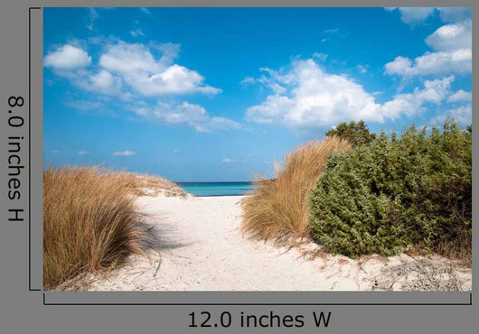 Costa Smeralda Sand Dunes Wall Decal