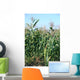 Field Maize Wall Decal