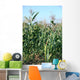 Field Maize Wall Decal