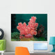 Soft Coral Wall Decal