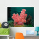 Soft Coral Wall Decal