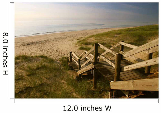 Beach Walkway Wall Decal