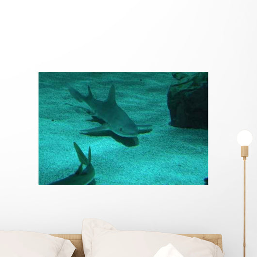 Fotosub31 Wall Decal
