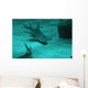 Fotosub31 Wall Decal