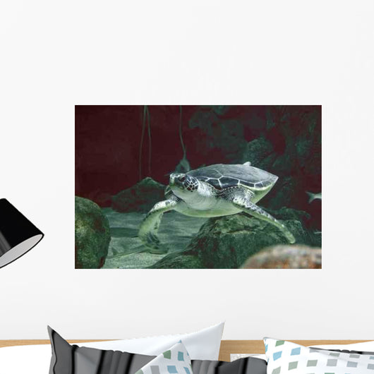 Fotosub30 Wall Decal