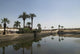 Ancient Swimming Pool Luxor Wall Decal