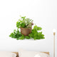 Healthy Herbs Wall Decal