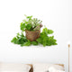 Healthy Herbs Wall Decal