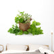 Healthy Herbs Wall Decal