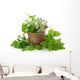 Healthy Herbs Wall Decal